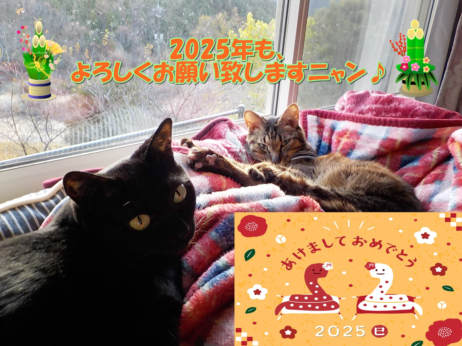 元日三が日・土日祝も休みなく毎日発送しています♪2025/1/1